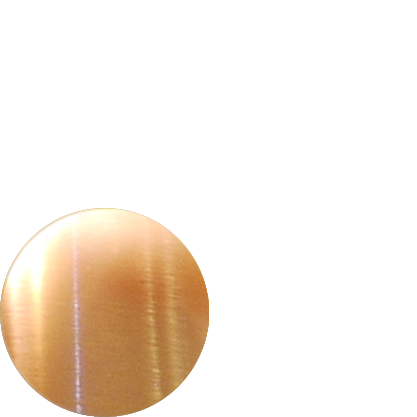 Lachs finishing putzen